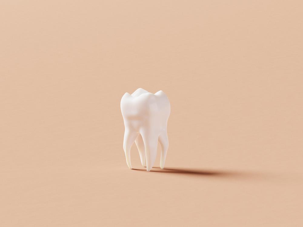 An illustration of a single clean white tooth.