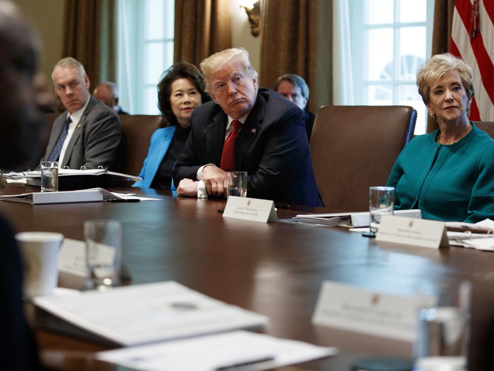 President Donald Trump participates in a cabinet meeting in 2018, during his first presidential term. At the time, Linda McMahon (right) was leading the U.S. Small Business Administration.