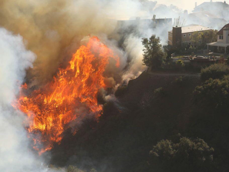 Fire experts say trimming the vegetation directly around a home goes a long way in reducing fire danger, but clearing vast areas of Los Angeles' chaparral brush could actually make the problem worse.