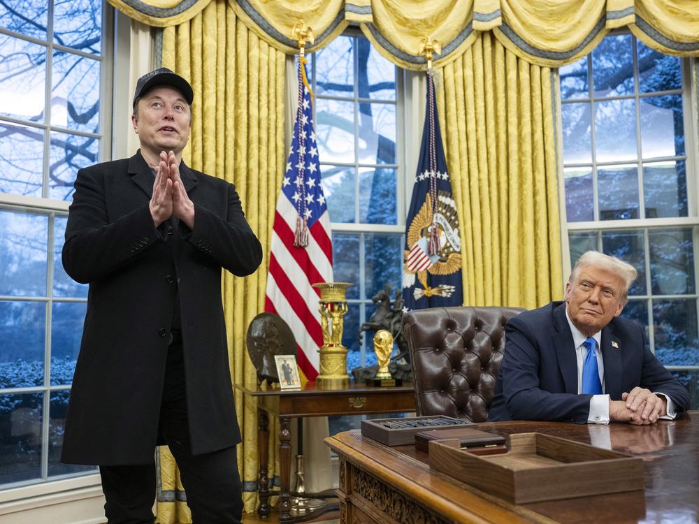 Elon Musk takes questions from reporters as President Trump looks on in the Oval Office of the White House on Tuesday.