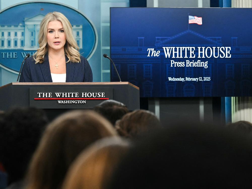 White House Press Secretary Karoline Leavitt speaks during the daily briefing in the Brady Briefing Room of the White House on Wednesday. Leavitt said judges blocking the Trump administration's actions were causing a constitutional crisis.
