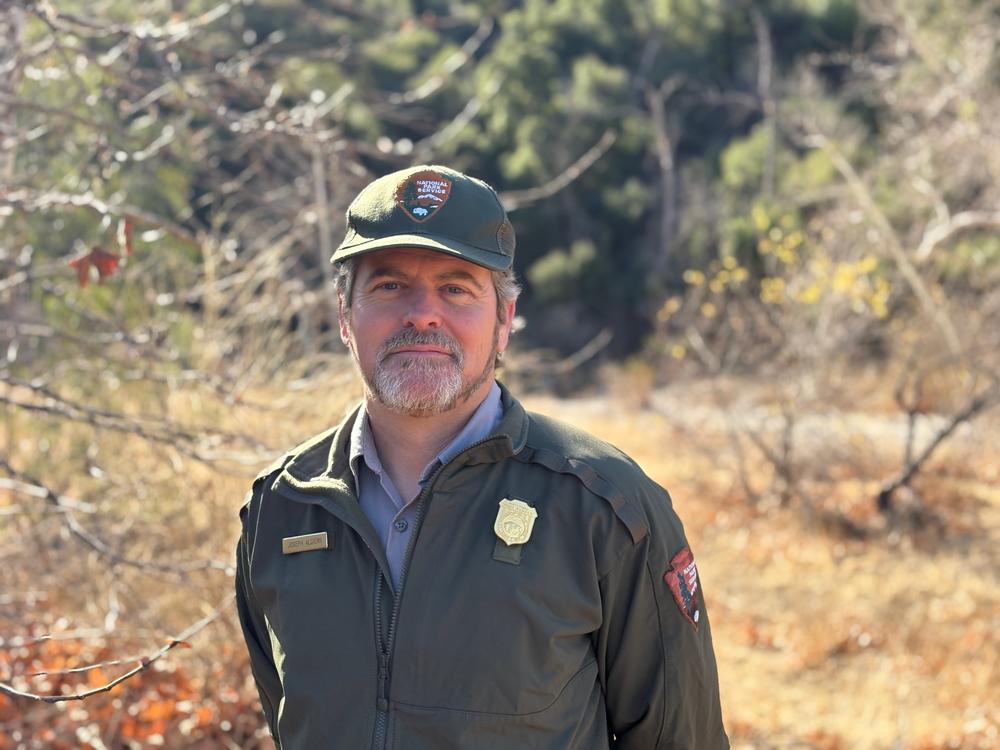 Joseph Algiers of the Santa Monica Mountains National Recreation Area says the native chaparral plants are being replaced by invasive grasses, which are even more flammable.