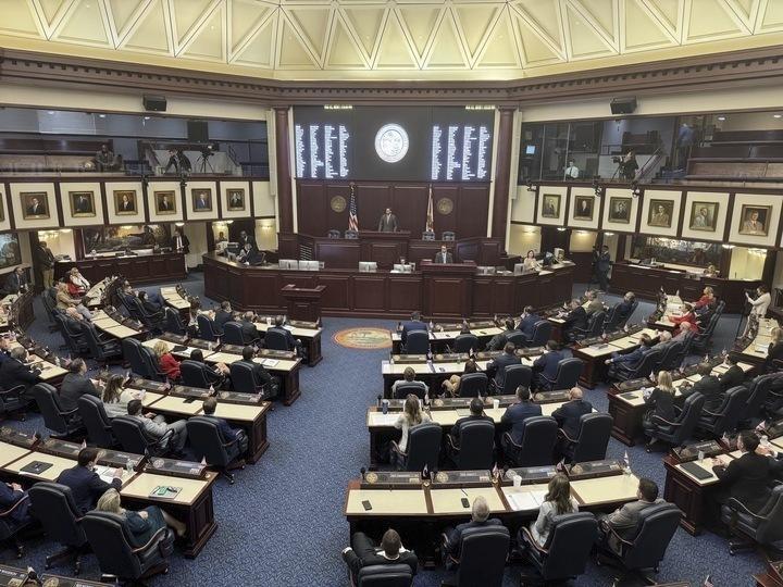 The Florida House of Representatives shown here during the special legislative session this week that led to the passage of laws aimed at assisting President Trump's plans for mass deportations.