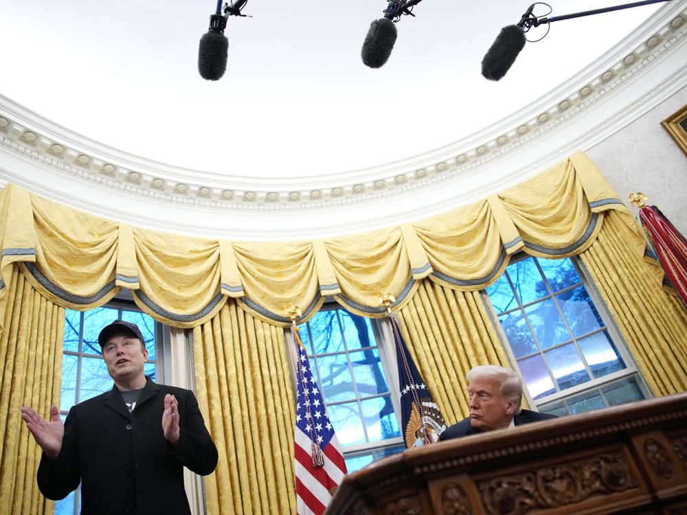 Tesla and SpaceX CEO Elon Musk delivers remarks alongside President Trump during an executive order signing in the Oval Office at the White House on Tuesday.