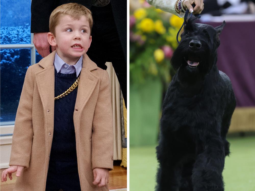 Who is this child? Plus, Monty the dog and Kendrick Lamar.