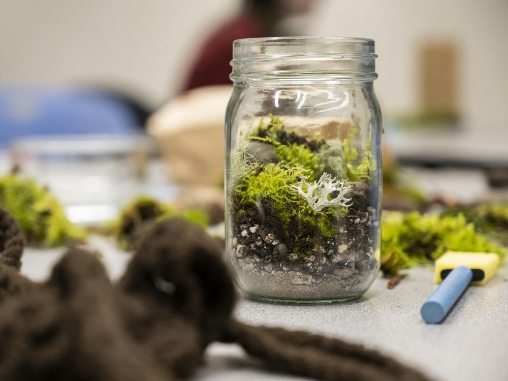 One of the activities at Moss Appreciation Week is a build-your-own-terrarium workshop.