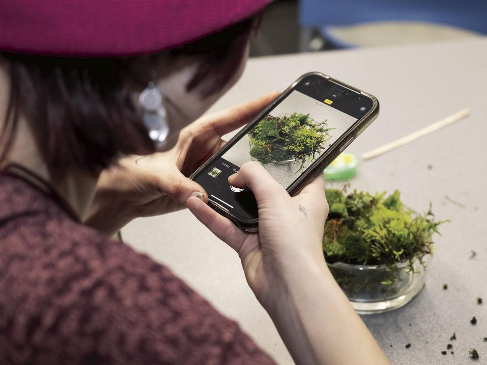 Students harvested moss around campus for a build-your-own-terrarium workshop during Moss Appreciation Week in 2023.