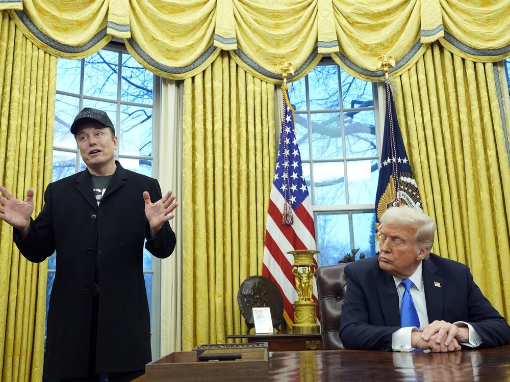 President Donald Trump listens as Elon Musk speaks in the Oval Office at the White House, Tuesday, Feb. 11, 2025, in Washington. (Photo/Alex Brandon)