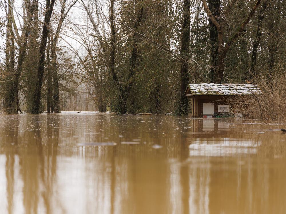 The Barren River floods at the entrance to Weldon Peete Park after a rain storm on Sunday in Bowling Green, Ky.