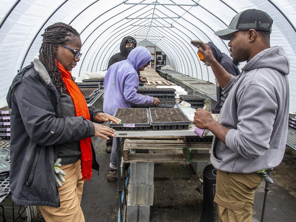 Farmer Gale Livingstone alongside volunteers Sydney Harris, Lewis Taylor, Emmani Phillips-Quigley and Jimi Palmer plant seeds at Deep Roots Farm in Upper Marlboro, Md.