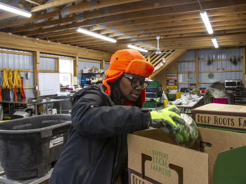 Farmer Gale Livingstone boxes harvested vegetables at Deep Roots Farm in Upper Marlboro, Md.