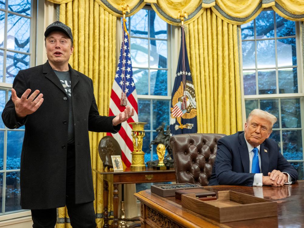 Elon Musk speaks as President Trump looks on in the Oval Office of the White House on Feb. 11.