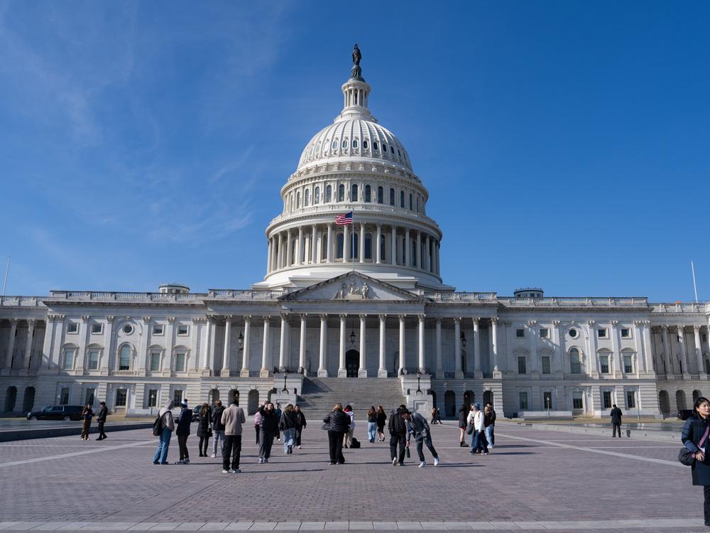 Republicans in Congress plan to use a tool of the budget process, known as reconciliation, to pass portions of President Trump's agenda without the need for votes from Democrats in the Senate.