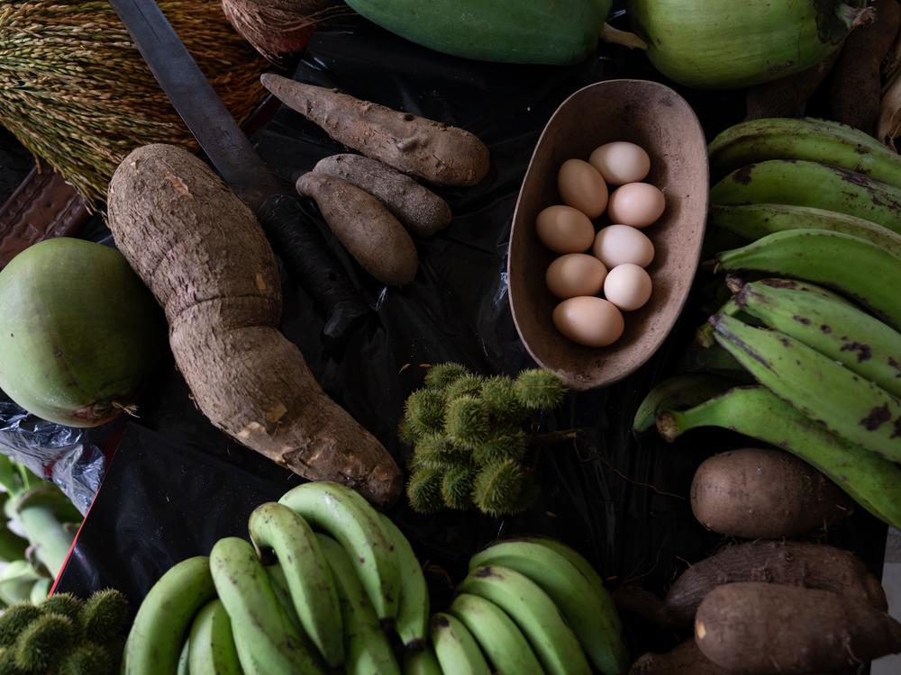 A sample of crops and food harvested in Limón de Chagres, Panama.