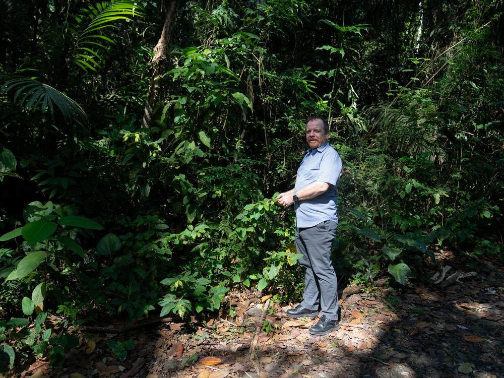 Steve Paton, director of the Physical Monitoring Program at the Smithsonian Institution in Panama, measures different changes in sunlight, rainfall and temperature.