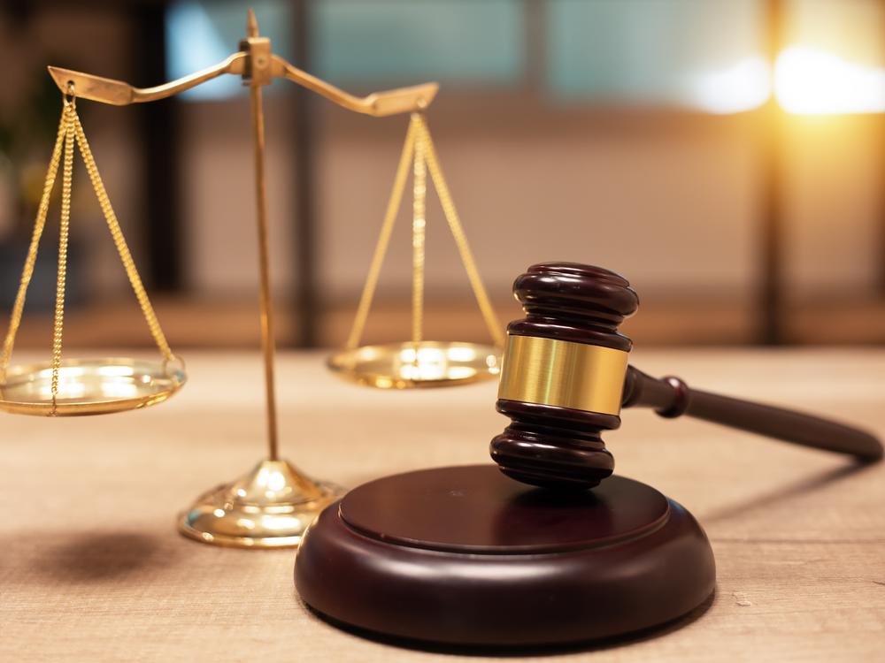 The Merit Systems Protection Board is the independent, quasi-judicial agency that hears appeals in labor disputes brought by federal employees.