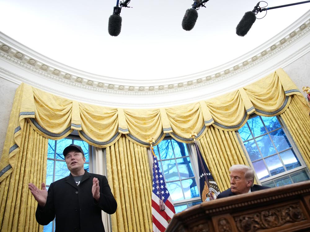 President Trump and Tesla and SpaceX CEO Elon Musk in the Oval Office at the White House on Feb. 11.
