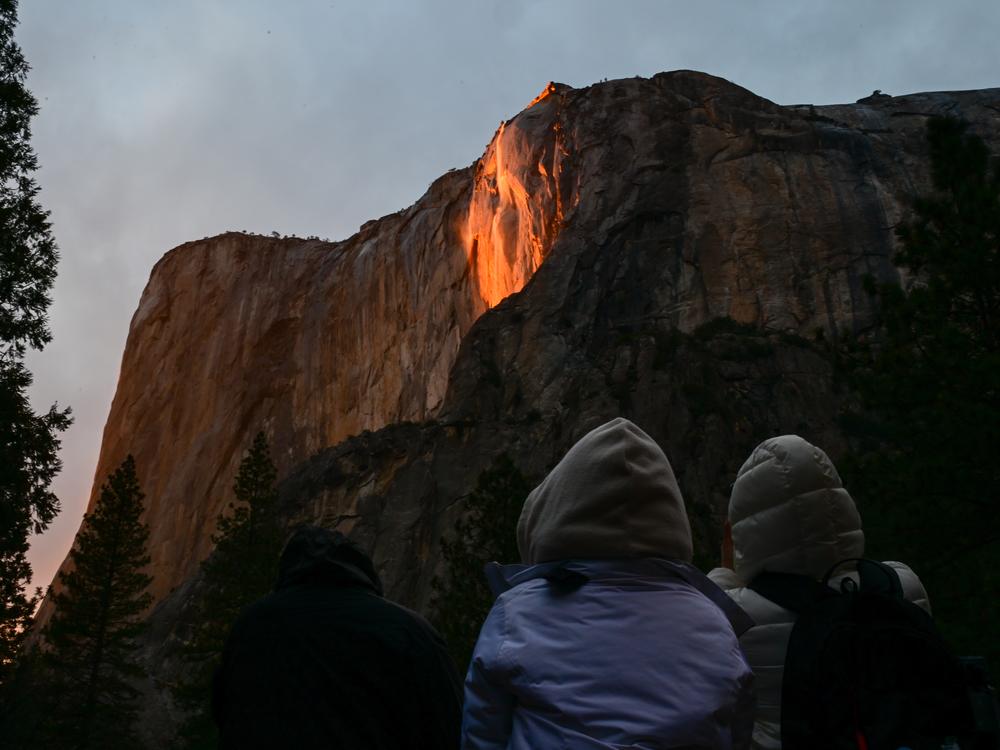 Visitors admire the 