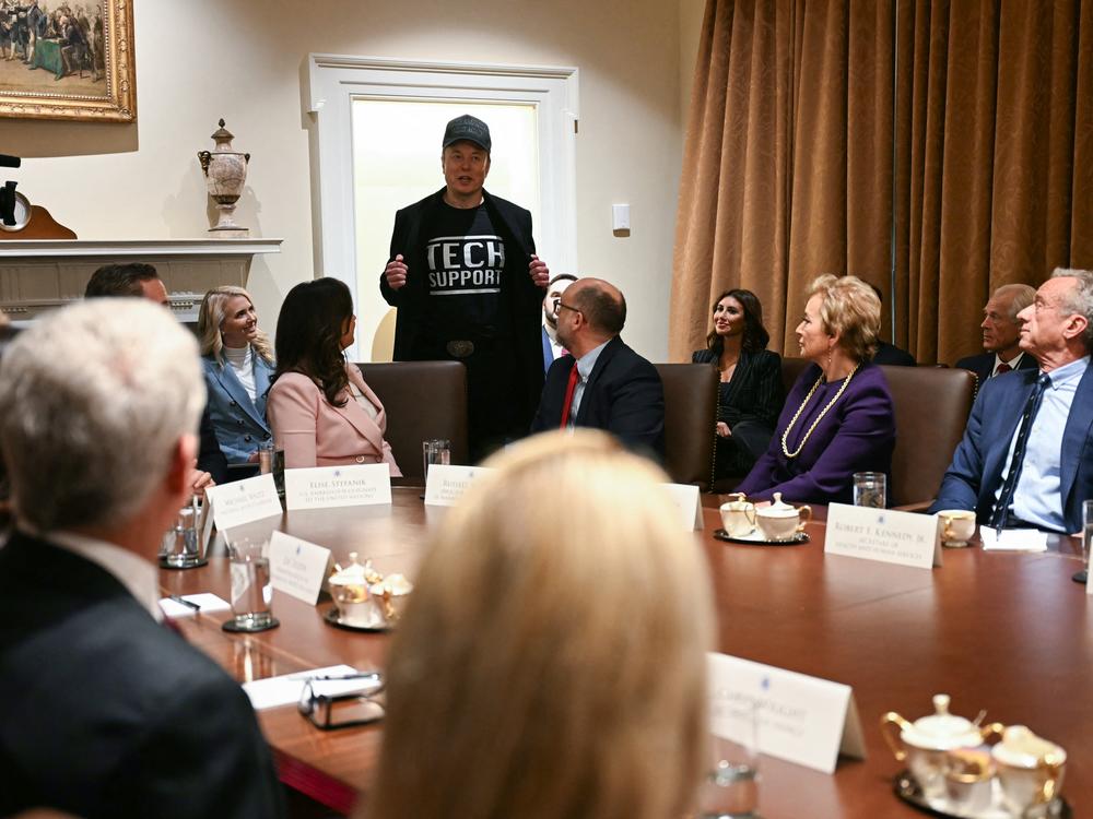 Elon Musk, who oversees the Trump administration's Department of Government Efficiency, wears a shirt that says 