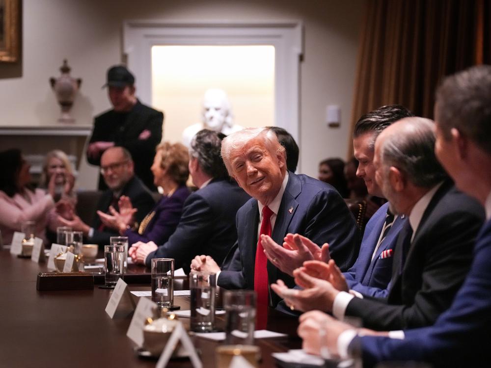 President Trump delivers remarks during his first Cabinet meeting of his second term at the White House on Feb. 26, in Washington, D.C. The meeting includes Tesla and SpaceX CEO Elon Musk, head of a Trump administration team called the Department of Government Efficiency.