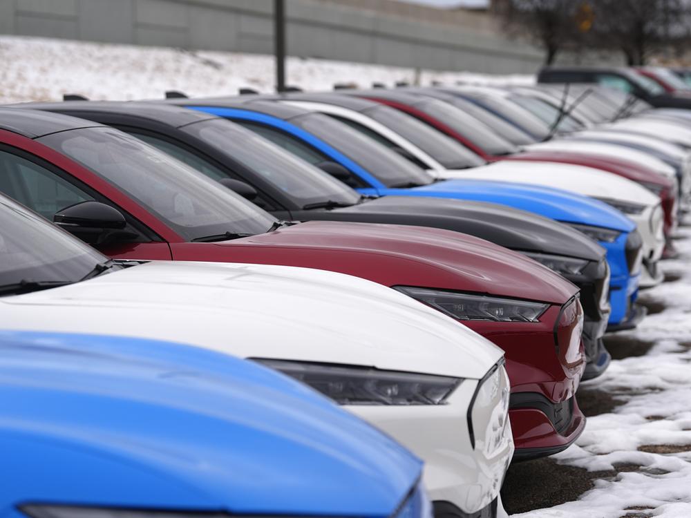 Mustang Mach-E electric vehicles sit in a long row at a dealership on Jan. 21, 2024. Some customers who bought electric vehicles in 2024 are not able to access an EV tax credit now, because their dealers did not report the sale to the IRS using a new system.