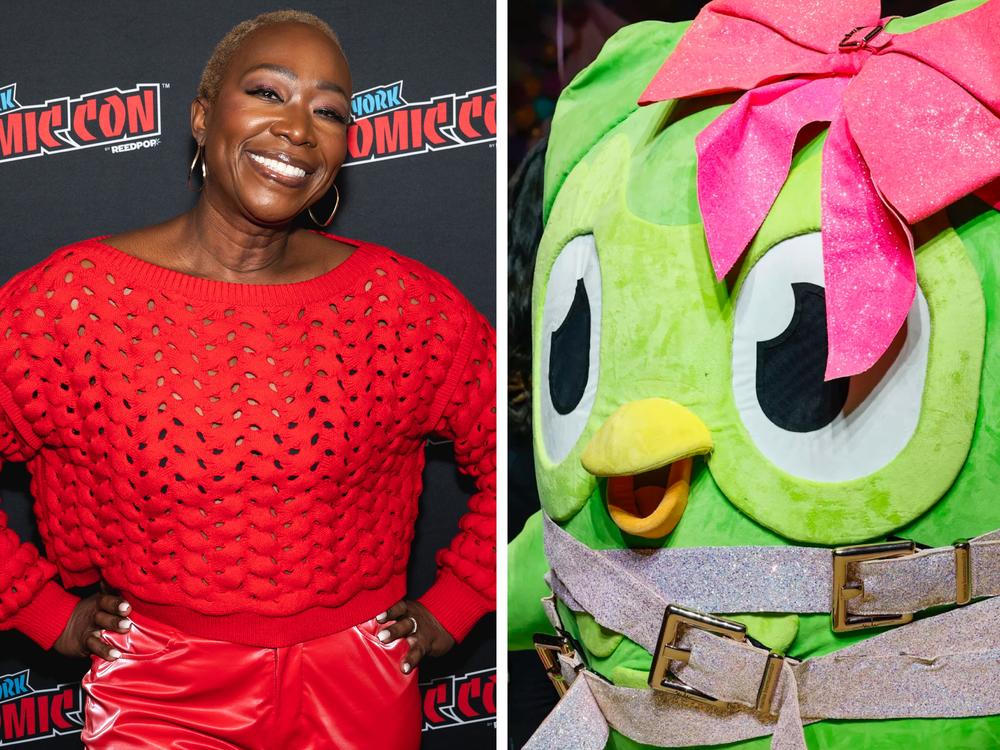 Jordan Chiles, Joy Reid, Duo the owl.