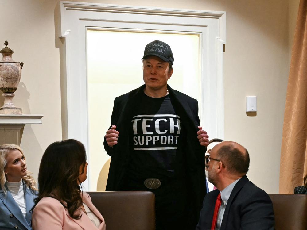 Billionaire and presidential adviser Elon Musk speaking during a cabinet meeting at the White House in Washington, DC, on Feb. 26, 2025.