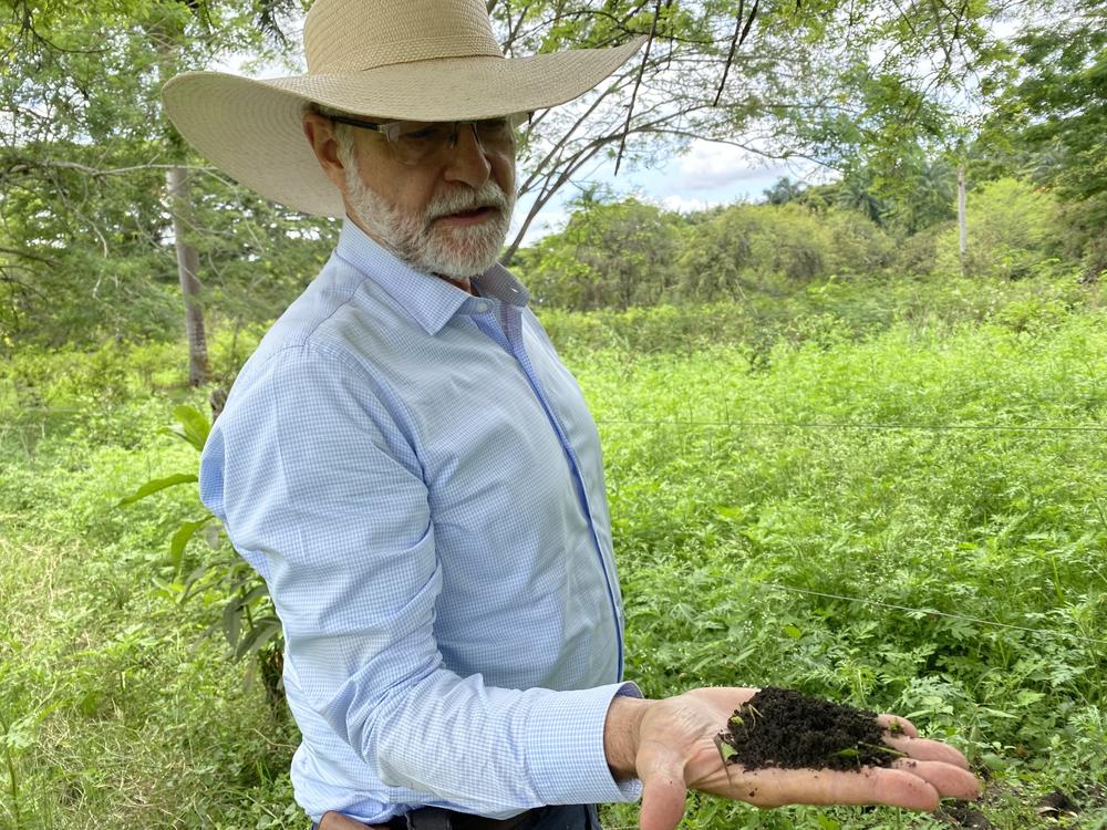 Carlos Hernando Molina shows off the rich soil. The trees and shade help retain the soil's moisture.