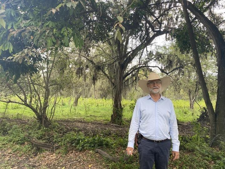 Carlos Hernando Molina walks under the trees at El Hatico. The family has nearly doubled the number of cows per hectare.