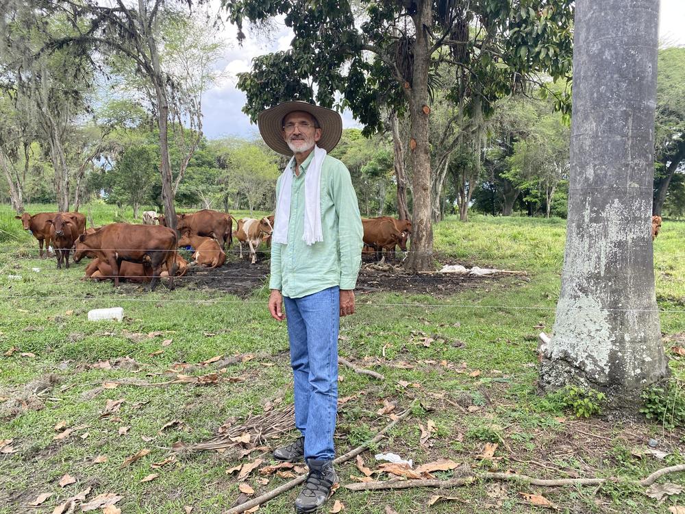 Julián Chára, a researcher at the Center for Research in Sustainable Agricultural Production Systems studies El Hatico and other silvopasture systems like it.