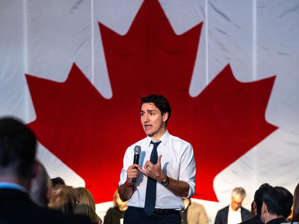 Canadian Prime Minister Justin Trudeau described President Trump's fentanyl accusations as false and said his country would retaliate with trade tariffs phased in over the next month.