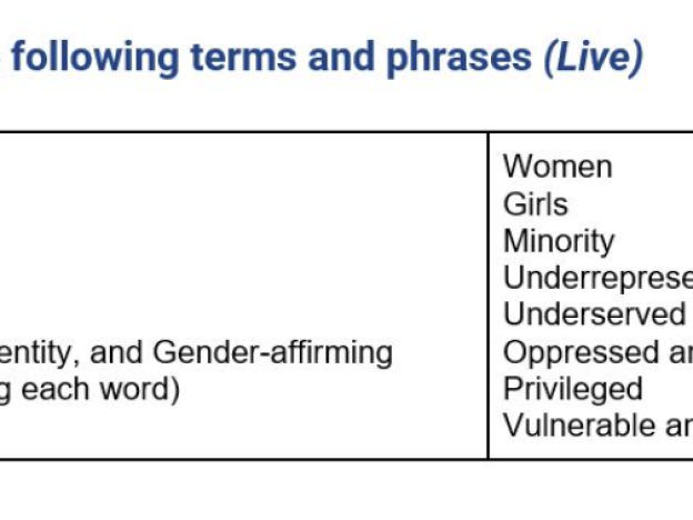 In a screenshot of a since-rescinded document, obtained by NPR, titled 