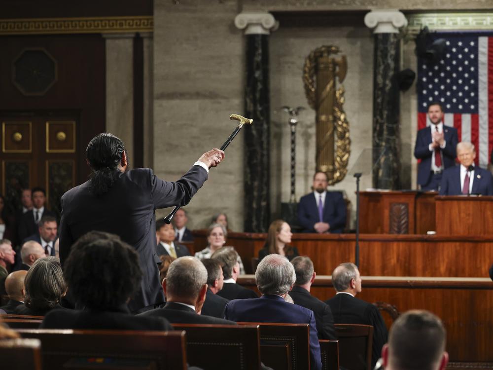 Rep. Al Green, D-Texas, left, shouts as President Donald Trump addresses a joint session of Congress at the Capitol.