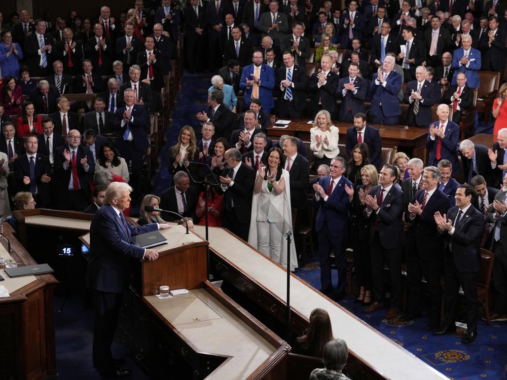 President Trump addresses a joint session of Congress at the Capitol in Washington on March 4.