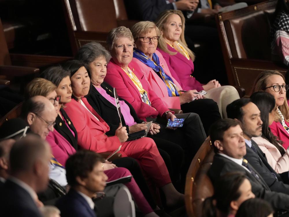Democratic members of Congress listen as President Trump addresses a joint session of Congress at the Capitol.
