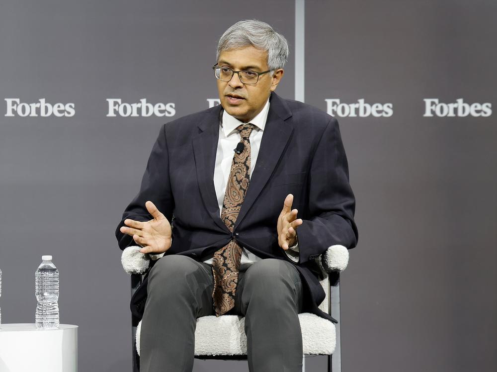 Dr. Jay Bhattacharya, a Stanford University professor, is President Trump's nominee to lead the National Institutes of Health.