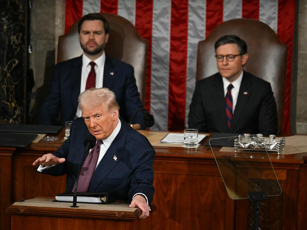 President Trump speaks during an address to a joint session of Congress at the Capitol in Washington, DC, on March 4, 2025.