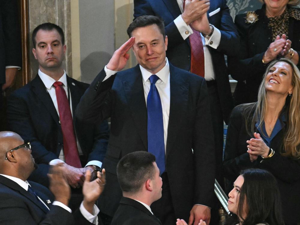 Elon Musk stands as he is recognized by President Trump during the latter's address to a joint session of Congress on Tuesday.