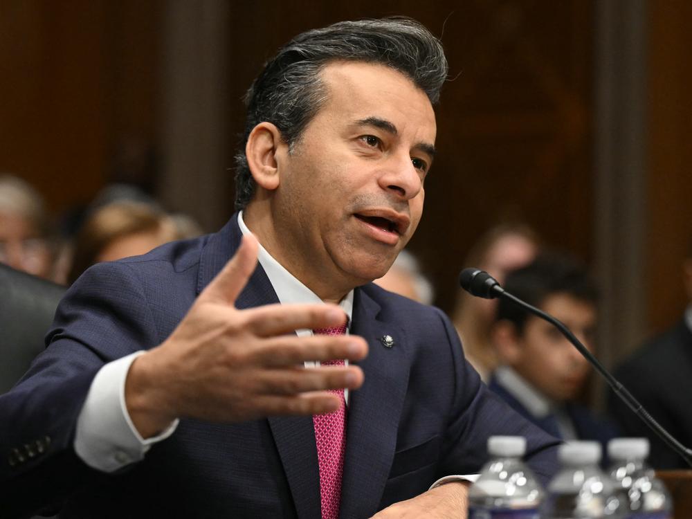Dr. Marty Makary testifies before the Senate Health, Education, Labor and Pensions Committee on his nomination to become Food and Drug Administration commissioner.