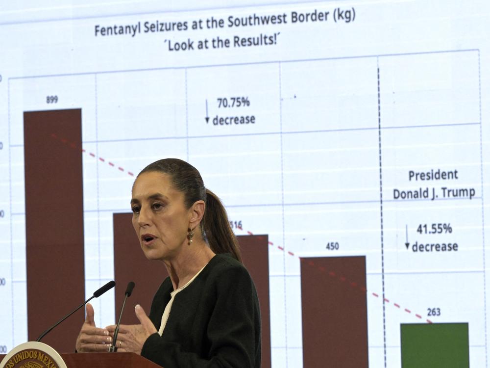 Mexico's President Claudia Sheinbaum speaks during her daily press conference at the National Palace in Mexico City on March 6, 2025.