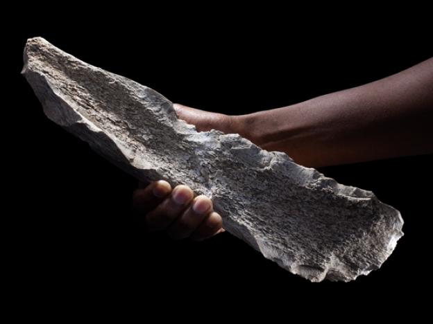 This photo shows a carved bone tool made from an elephant humerus dating back 1.5 million years.