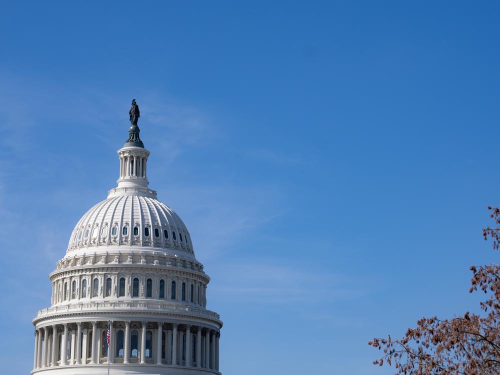 The U.S. Capitol Building on Feb. 10, 2025.