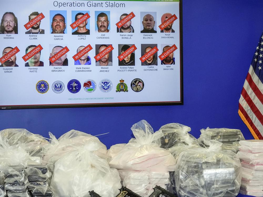 Canadian former Olympic snowboarder Ryan Wedding, 43, who is a fugitive, is seen top left, with 15 other defendants who have been charged in a 16-count superseding indictment for allegedly running and participating in a transnational drug trafficking operation that routinely shipped hundreds of kilograms of cocaine, from Colombia, through Mexico and Canada and other locations in the United States.