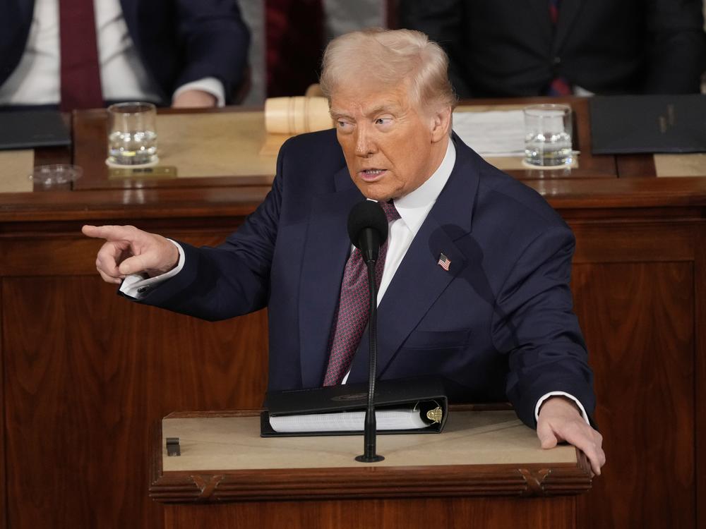 President Donald Trump addresses a joint session of Congress at the Capitol in Washington, Tuesday, March 4, 2025. (AP Photo/Ben Curtis)
