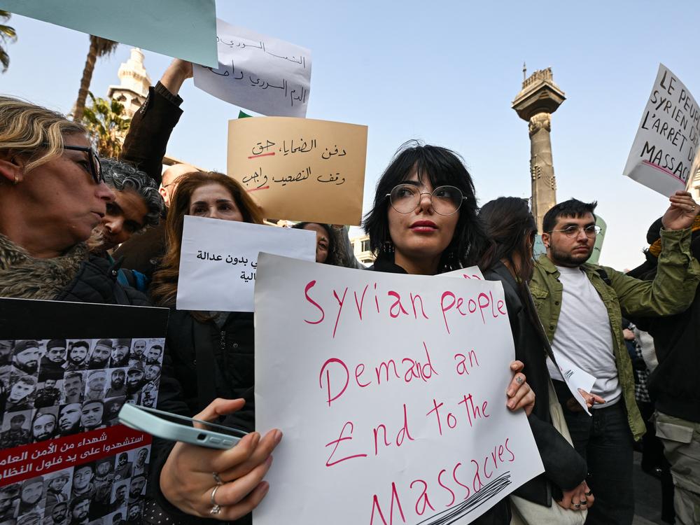 People lift placards during a rally called for by Syrian activists 