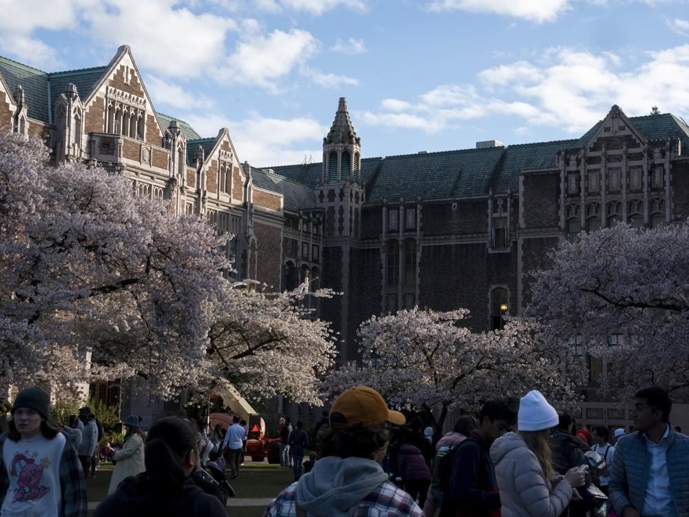 The University of Washington, pictured in April 2023, has paused all non-essential hiring and travel.
