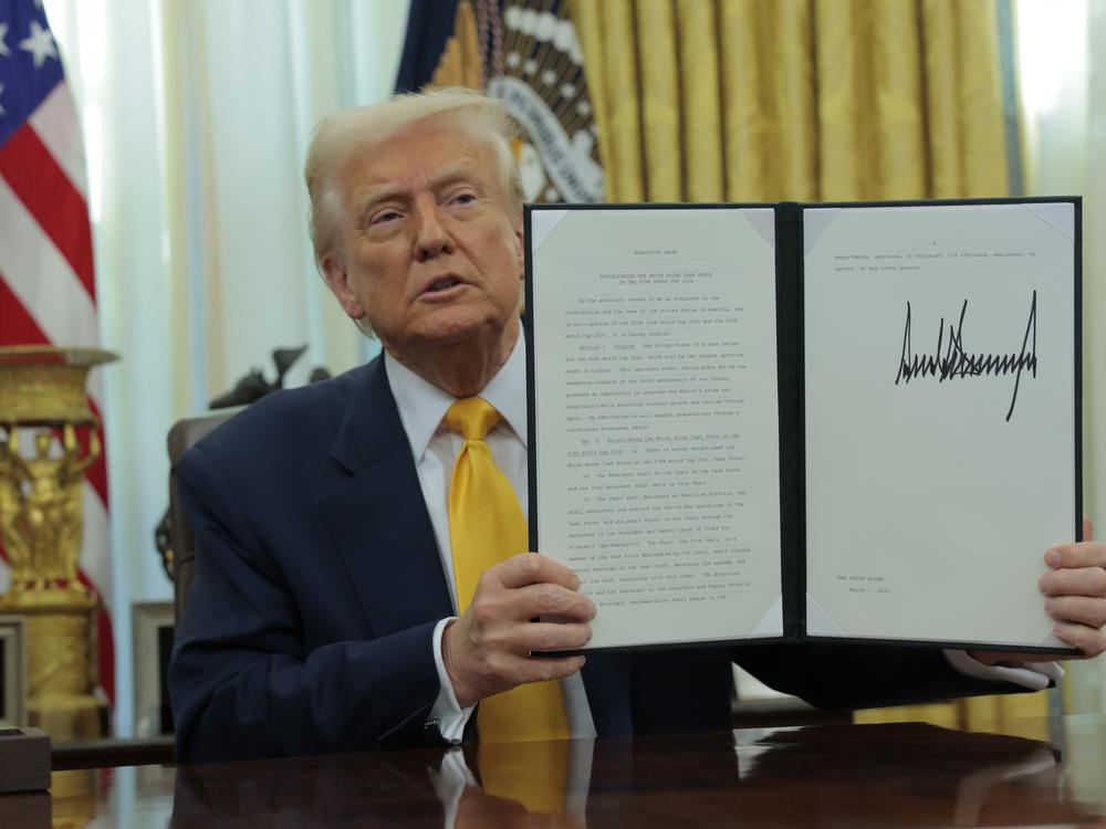 President Trump, through orders, firings and other changes, is remaking the existing system of checks on the president. Supporters say that is exactly the point.