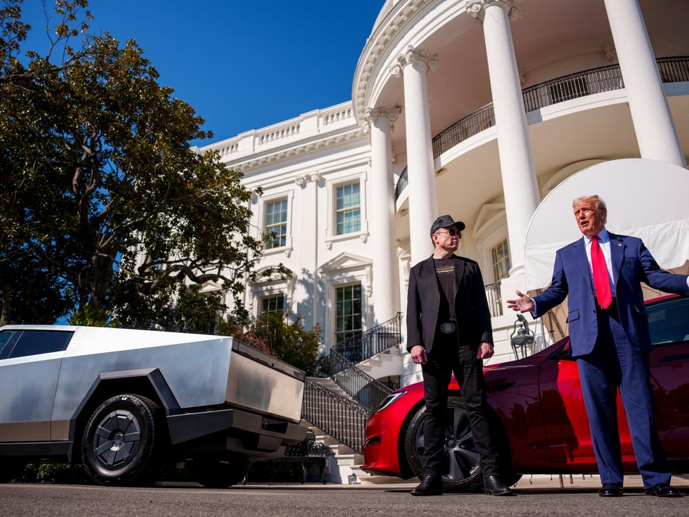 At a White House event on March 11, Trump said he would purchase a Tesla EV as a 