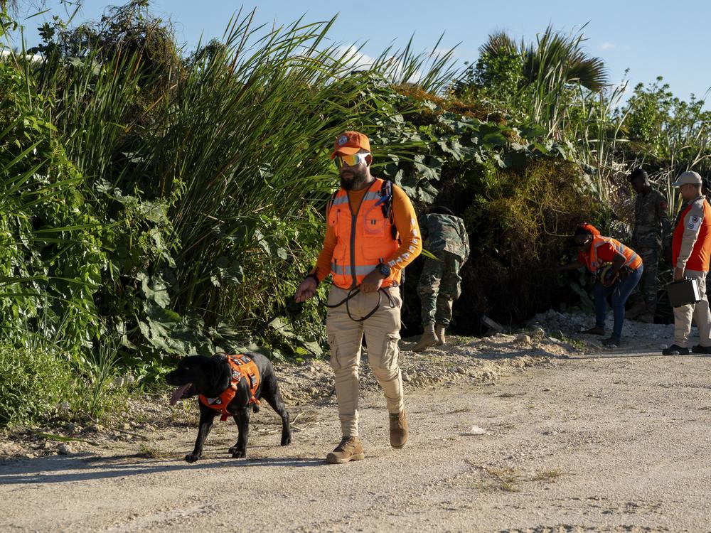 On March 10, a member of civil defense canine unit searches for Sudiksha Konanki, a university student from the U.S. who disappeared on a beach in Punta Cana, Dominican Republic, the prior week.