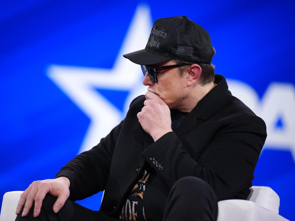 Elon Musk says he's targeting waste and fraud in the federal government.